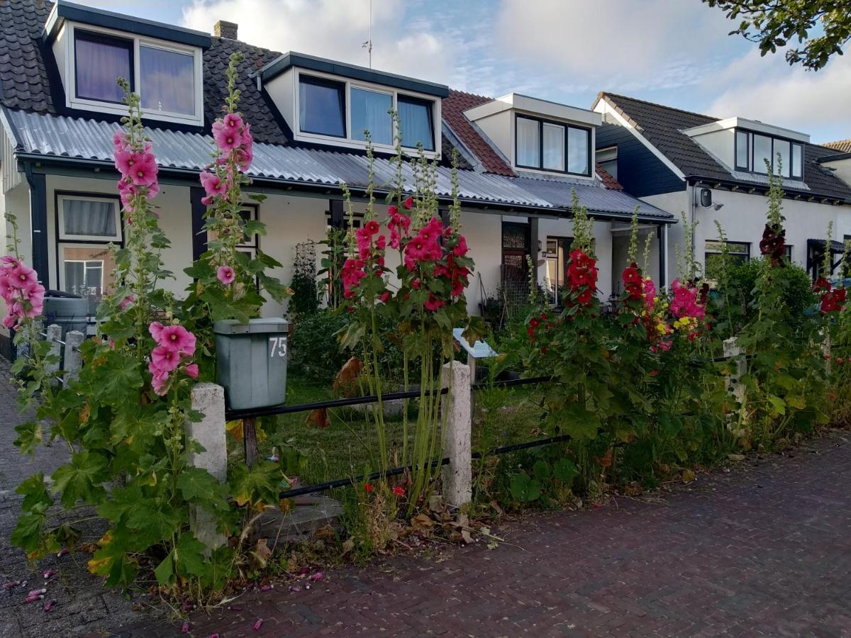 B&B Txl De Cocksdorp  Zewnętrze zdjęcie
